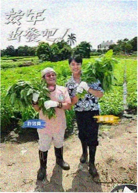 热门推荐